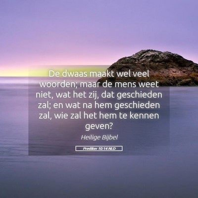 Picture 05 - Prediker 10:14 NLD - De dwaas maakt wel veel woorden; maar de mens - Bible Verse Picture