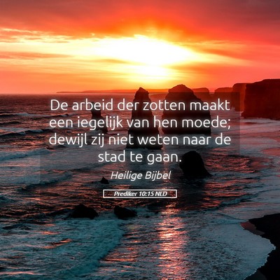 Picture 05 - Prediker 10:15 NLD - De arbeid der zotten maakt een iegelijk van hen - Bible Verse Picture