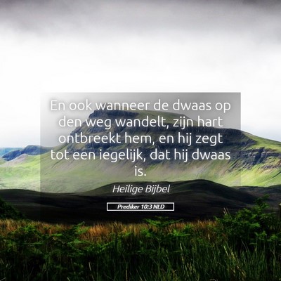 Picture 05 - Prediker 10:3 NLD - En ook wanneer de dwaas op den weg wandelt, zijn - Bible Verse Picture