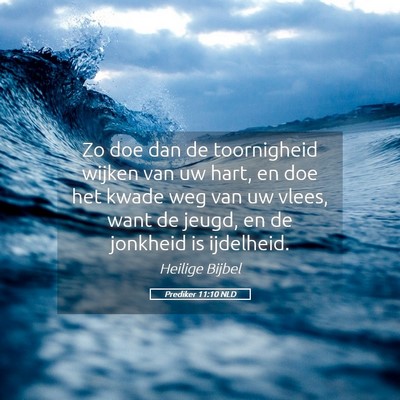 Picture 05 - Prediker 11:10 NLD - Zo doe dan de toornigheid wijken van uw hart, en - Bible Verse Picture