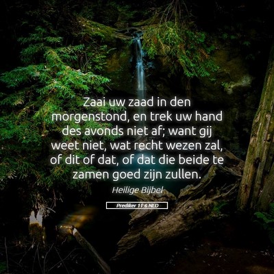 Picture 05 - Prediker 11:6 NLD - Zaai uw zaad in den morgenstond, en trek uw hand - Bible Verse Picture