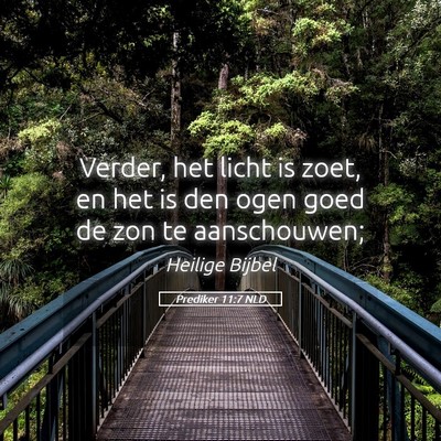 Picture 05 - Prediker 11:7 NLD - Verder, het licht is zoet, en het is den ogen - Bible Verse Picture