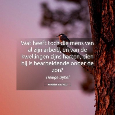 Picture 05 - Prediker 2:22 NLD - Wat heeft toch die mens van al zijn arbeid, en - Bible Verse Picture