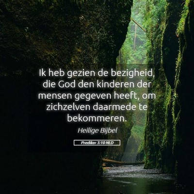 Picture 05 - Prediker 3:10 NLD - Ik heb gezien de bezigheid, die God den kinderen - Bible Verse Picture