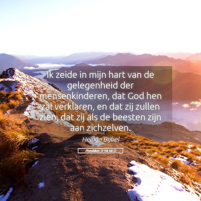 Picture 05 - Prediker 3:18 NLD - Ik zeide in mijn hart van de gelegenheid der - Bible Verse Picture