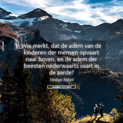 Picture 05 - Prediker 3:21 NLD - Wie merkt, dat de adem van de kinderen der mensen - Bible Verse Picture