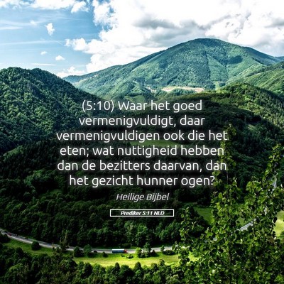 Picture 05 - Prediker 5:11 NLD - (5:10) Waar het goed vermenigvuldigt, daar - Bible Verse Picture