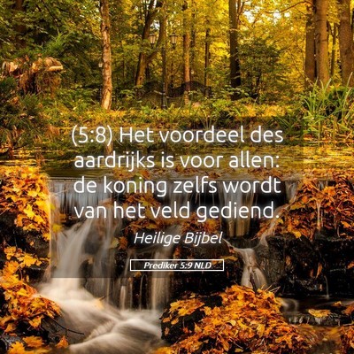 Picture 05 - Prediker 5:9 NLD - (5:8) Het voordeel des aardrijks is voor allen: - Bible Verse Picture