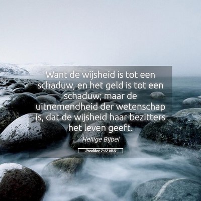 Picture 05 - Prediker 7:12 NLD - Want de wijsheid is tot een schaduw, en het geld - Bible Verse Picture