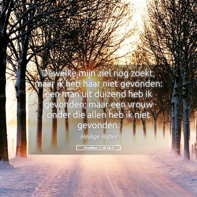 Picture 05 - Prediker 7:28 NLD - Dewelke mijn ziel nog zoekt, maar ik heb haar - Bible Verse Picture
