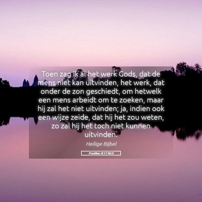 Picture 05 - Prediker 8:17 NLD - Toen zag ik al het werk Gods, dat de mens niet - Bible Verse Picture