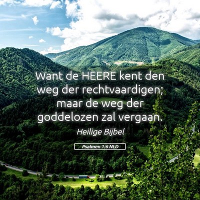 Picture 05 - Psalmen 1:6 NLD - Want de HEERE kent den weg der rechtvaardigen; - Bible Verse Picture