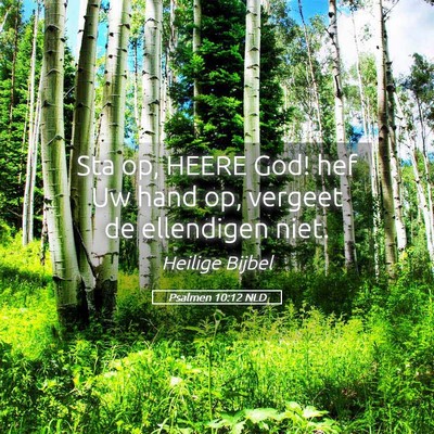 Picture 05 - Psalmen 10:12 NLD - Sta op, HEERE God! hef Uw hand op, vergeet de - Bible Verse Picture