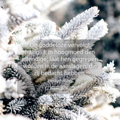 Picture 05 - Psalmen 10:2 NLD - De goddeloze vervolgt hittiglijk in hoogmoed den - Bible Verse Picture
