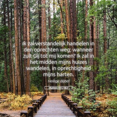 Picture 05 - Psalmen 101:2 NLD - Ik zal verstandelijk handelen in den oprechten - Bible Verse Picture