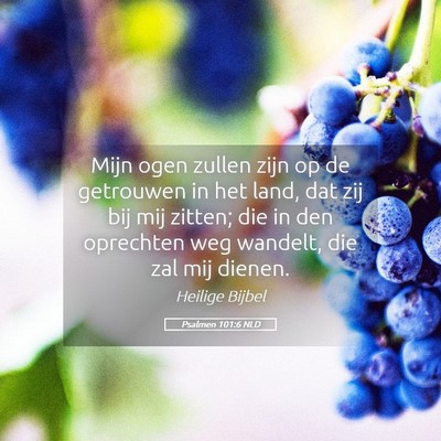 Picture 05 - Psalmen 101:6 NLD - Mijn ogen zullen zijn op de getrouwen in het - Bible Verse Picture