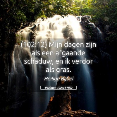 Picture 05 - Psalmen 102:11 NLD - (102:12) Mijn dagen zijn als een afgaande - Bible Verse Picture