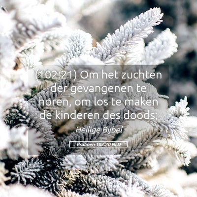 Picture 05 - Psalmen 102:20 NLD - (102:21) Om het zuchten der gevangenen te horen, - Bible Verse Picture