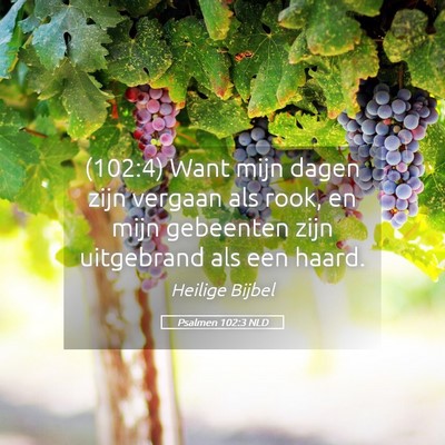 Picture 05 - Psalmen 102:3 NLD - (102:4) Want mijn dagen zijn vergaan als rook, en - Bible Verse Picture