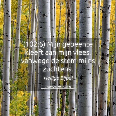 Picture 05 - Psalmen 102:5 NLD - (102:6) Mijn gebeente kleeft aan mijn vlees, - Bible Verse Picture