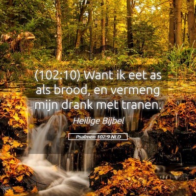 Picture 05 - Psalmen 102:9 NLD - (102:10) Want ik eet as als brood, en vermeng - Bible Verse Picture