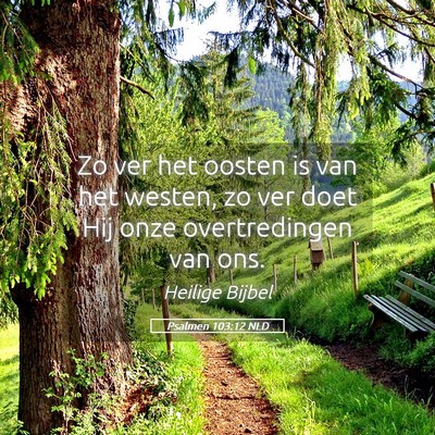Picture 05 - Psalmen 103:12 NLD - Zo ver het oosten is van het westen, zo ver doet - Bible Verse Picture