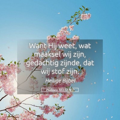 Picture 05 - Psalmen 103:14 NLD - Want Hij weet, wat maaksel wij zijn, gedachtig - Bible Verse Picture
