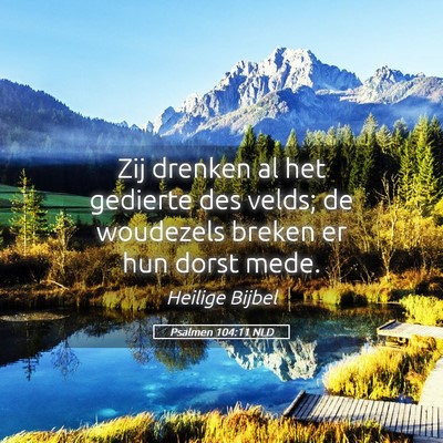 Picture 05 - Psalmen 104:11 NLD - Zij drenken al het gedierte des velds; de - Bible Verse Picture