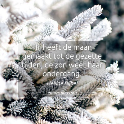 Picture 05 - Psalmen 104:19 NLD - Hij heeft de maan gemaakt tot de gezette tijden, - Bible Verse Picture