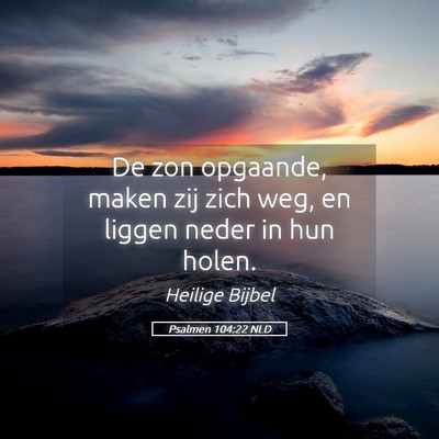 Picture 05 - Psalmen 104:22 NLD - De zon opgaande, maken zij zich weg, en liggen - Bible Verse Picture