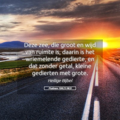 Picture 05 - Psalmen 104:25 NLD - Deze zee, die groot en wijd van ruimte is, daarin - Bible Verse Picture