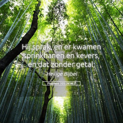 Picture 05 - Psalmen 105:34 NLD - Hij sprak, en er kwamen sprinkhanen en kevers, en - Bible Verse Picture