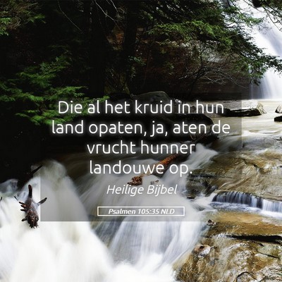 Picture 05 - Psalmen 105:35 NLD - Die al het kruid in hun land opaten, ja, aten de - Bible Verse Picture