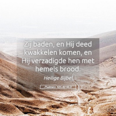 Picture 05 - Psalmen 105:40 NLD - Zij baden, en Hij deed kwakkelen komen, en Hij - Bible Verse Picture