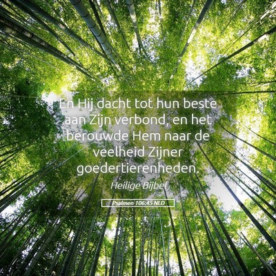 Picture 05 - Psalmen 106:45 NLD - En Hij dacht tot hun beste aan Zijn verbond, en - Bible Verse Picture