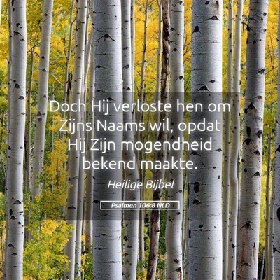 Picture 05 - Psalmen 106:8 NLD - Doch Hij verloste hen om Zijns Naams wil, opdat - Bible Verse Picture