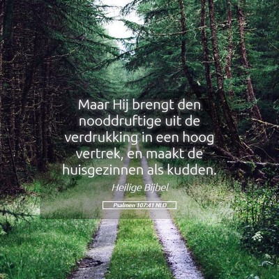 Picture 05 - Psalmen 107:41 NLD - Maar Hij brengt den nooddruftige uit de - Bible Verse Picture