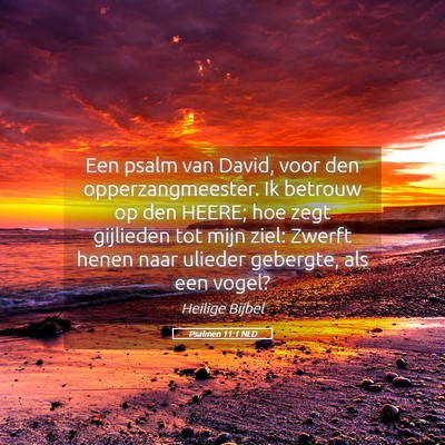 Picture 05 - Psalmen 11:1 NLD - Een psalm van David, voor den opperzangmeester. - Bible Verse Picture