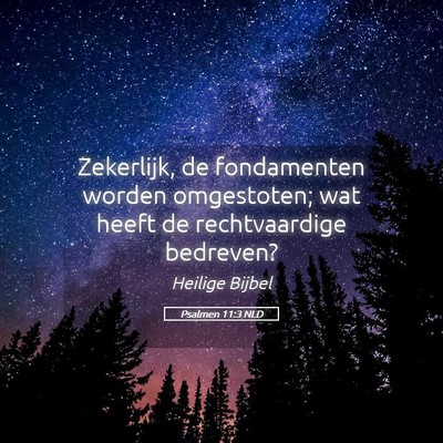 Picture 05 - Psalmen 11:3 NLD - Zekerlijk, de fondamenten worden omgestoten; wat - Bible Verse Picture