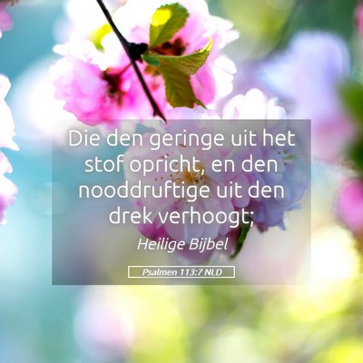 Picture 05 - Psalmen 113:7 NLD - Die den geringe uit het stof opricht, en den - Bible Verse Picture
