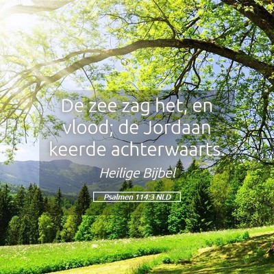 Picture 05 - Psalmen 114:3 NLD - De zee zag het, en vlood; de Jordaan keerde - Bible Verse Picture
