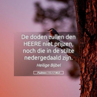 Picture 05 - Psalmen 115:17 NLD - De doden zullen den HEERE niet prijzen, noch die - Bible Verse Picture