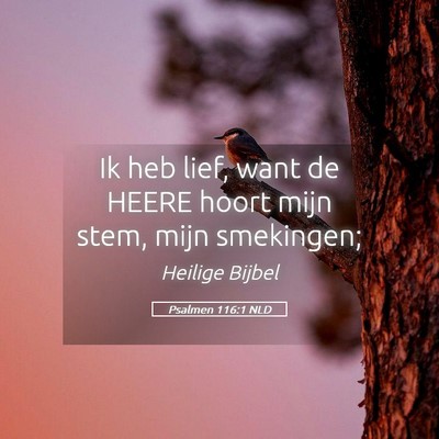 Picture 05 - Psalmen 116:1 NLD - Ik heb lief, want de HEERE hoort mijn stem, mijn - Bible Verse Picture