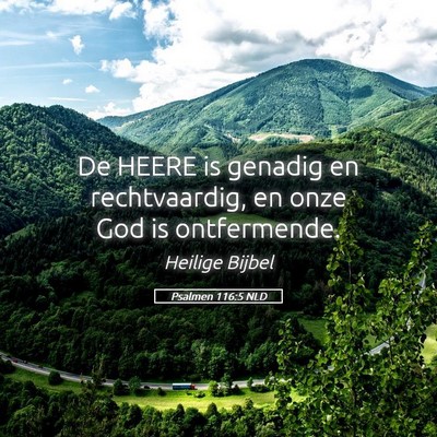 Picture 05 - Psalmen 116:5 NLD - De HEERE is genadig en rechtvaardig, en onze God - Bible Verse Picture