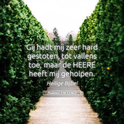 Picture 05 - Psalmen 118:13 NLD - Gij hadt mij zeer hard gestoten, tot vallens toe, - Bible Verse Picture