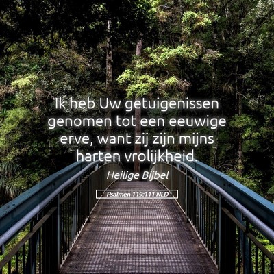 Picture 05 - Psalmen 119:111 NLD - Ik heb Uw getuigenissen genomen tot een eeuwige - Bible Verse Picture