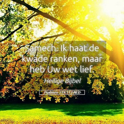 Picture 05 - Psalmen 119:113 NLD - Samech. Ik haat de kwade ranken, maar heb Uw wet - Bible Verse Picture