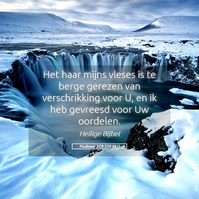 Picture 05 - Psalmen 119:120 NLD - Het haar mijns vleses is te berge gerezen van - Bible Verse Picture