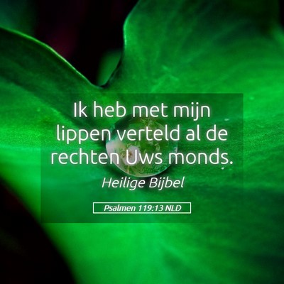 Picture 05 - Psalmen 119:13 NLD - Ik heb met mijn lippen verteld al de rechten Uws - Bible Verse Picture