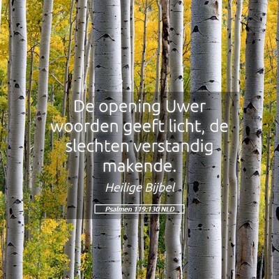 Picture 05 - Psalmen 119:130 NLD - De opening Uwer woorden geeft licht, de slechten - Bible Verse Picture